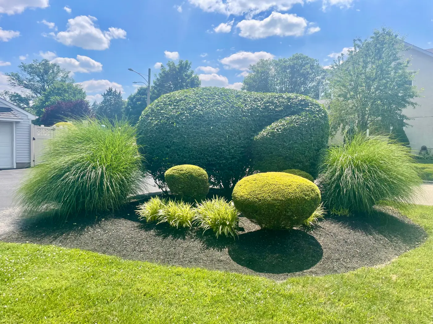 Landscape Design & Build