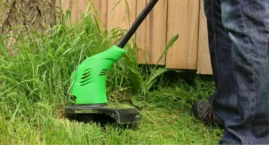 Landscaping Services