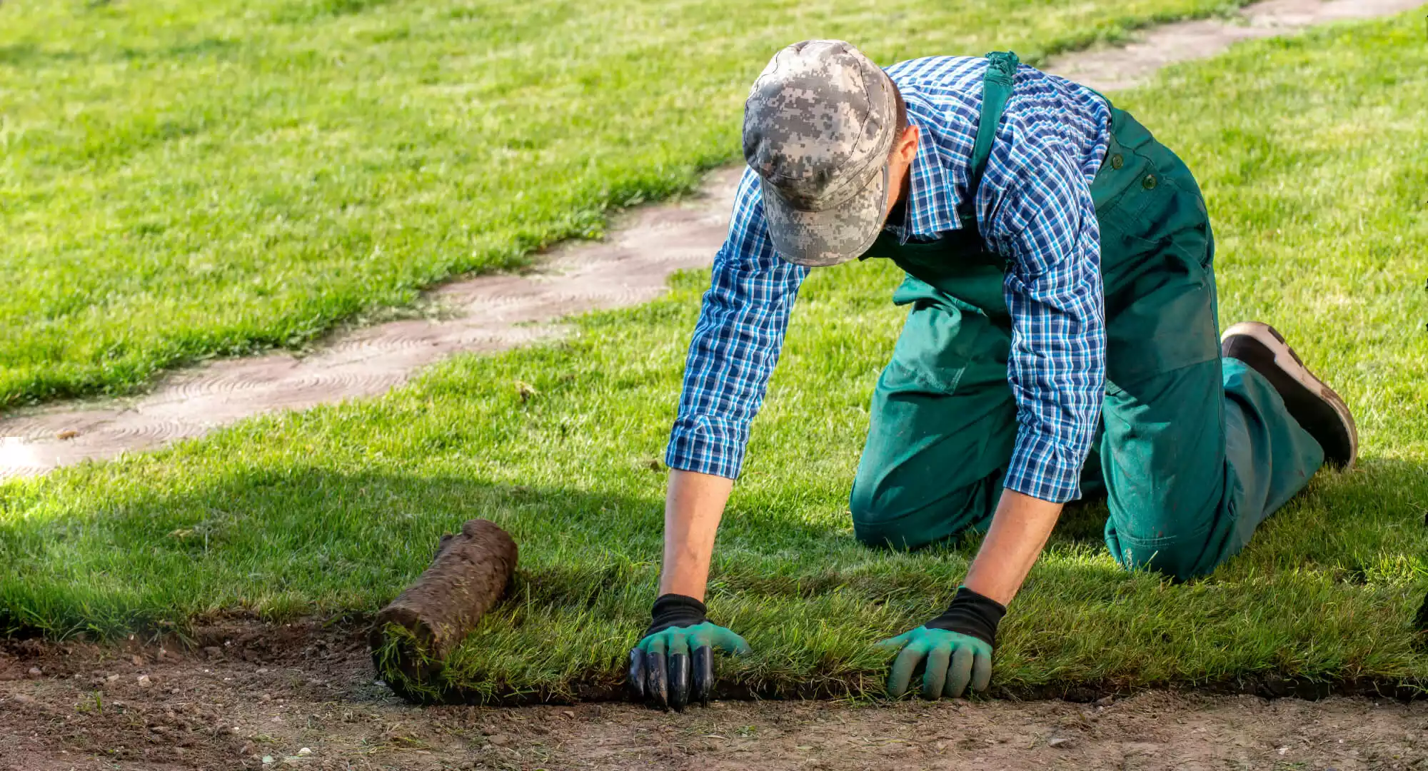 Lawn Installation main