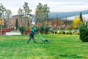 Gardener cutting grass using lawn mower