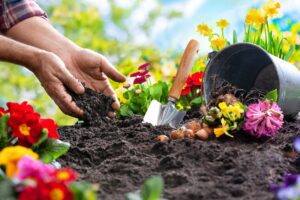 Gardening as a hobby