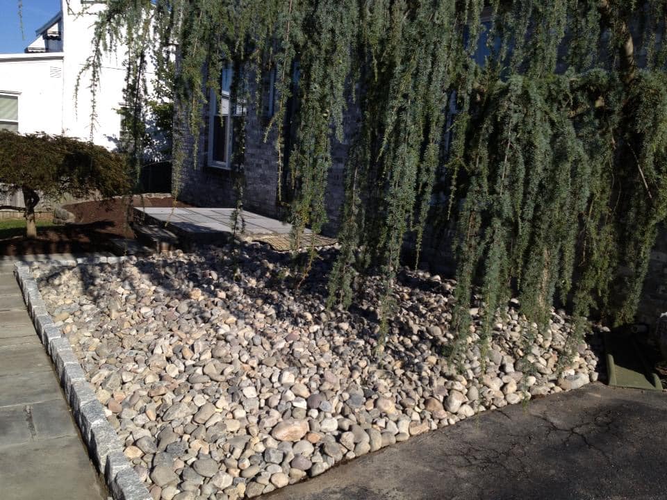 storm water management- Tree and rock