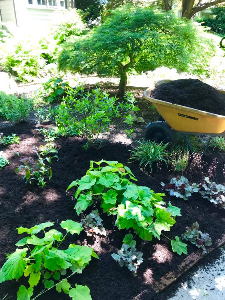tree & plant installation- flower bed
