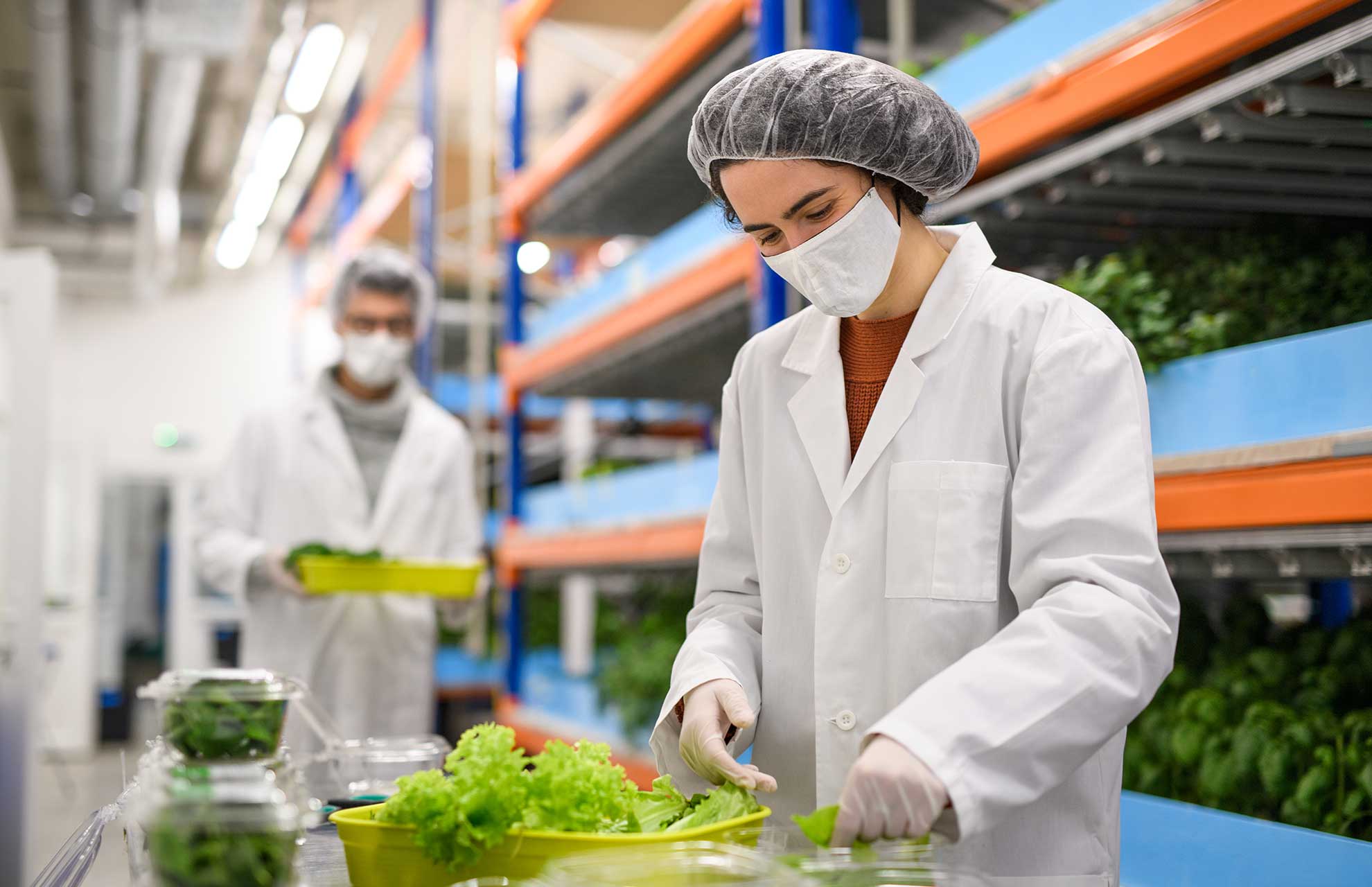 Workers with face mask