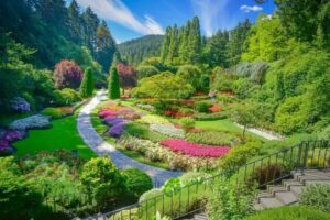 Landscape Consultation