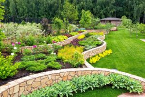 How much does it cost to have your yard treated