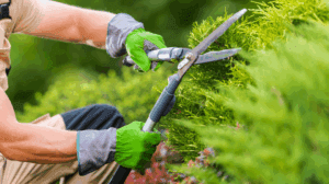 Landscaper